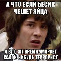 А что если Бесик чешет яйца И в то же время умирает какой-нибудь террорист