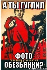 А ты гуглил фото обезьянки?