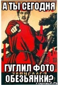 А ты сегодня Гуглил фото обезьянки?