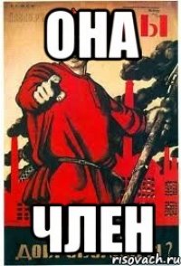 она член