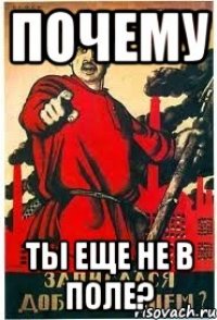 ПОЧЕМУ ты еще не в поле?