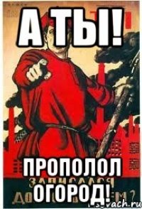 А ТЫ! Прополол огород!