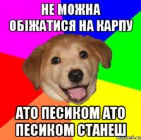 Не можна обіжатися на Карпу ато песиком ато песиком станеш