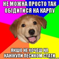 не можна просто так обідитися на карпу якшо не хочеш на канікули песиком стати