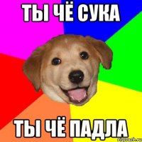 ты чё сука ты чё падла