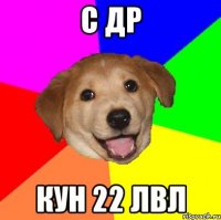 С Др Кун 22 лвл