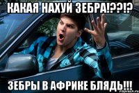 Какая нахуй зебра!??!? Зебры в африке блядь!!!