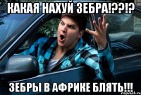 Какая нахуй зебра!??!? Зебры в африке блять!!!