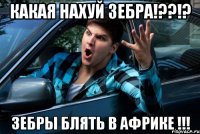 Какая нахуй зебра!??!? Зебры блять в Африке !!!