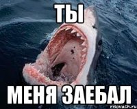 ты меня заебал