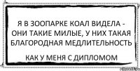 Я в зоопарке коал видела - они такие милые, у них такая благородная медлительность как у меня с дипломом