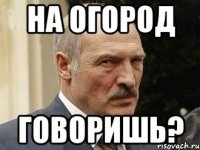 На огород говоришь?