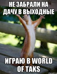 Не забрали на дачу в выходные играю в world of taks