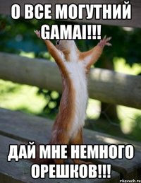 О ВСЕ МОГУТНИЙ GAMAI!!! ДАЙ МНЕ НЕМНОГО ОРЕШКОВ!!!