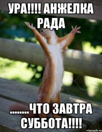 Ура!!!! Анжелка рада ........что завтра суббота!!!!