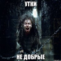 утки не добрые