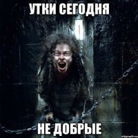 утки сегодня НЕ ДОБРЫЕ