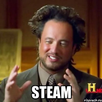  Steam