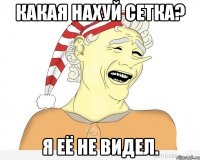 Какая нахуй сетка? Я её не видел.