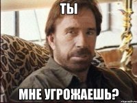 ты мне угрожаешь?