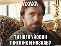 ахаха ти кого уйобок пінгвіном назвав?