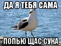 да я тебя сама попью щас сука