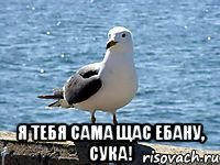  Я тебя сама щас ебану, сука!