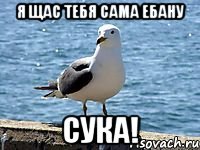 Я щас тебя сама ебану Сука!