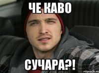 ЧЕ КАВО СУЧАРА?!