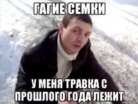 ГАГИЕ СЕМКИ У МЕНЯ ТРАВКА С ПРОШЛОГО ГОДА ЛЕЖИТ