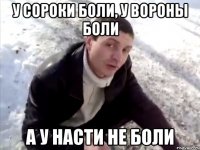 У сороки боли, у вороны боли А у Насти не боли