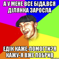 а у мене все біда,вся ділянка заросла едік каже-помогти?я кажу-я вже побрив