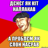 дєнєг як кіт наплакав а проблєм як слон насрав