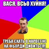 Вася, всьо хуйня! Треба єхать в Нарвєгію на фьорди дивиться!