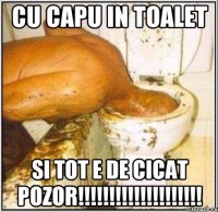 cu capu in toalet si tot e de cicat pozor!!!!!!!!!!!!!!!!!!!!