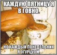Каждую пятницу я в говно. Но каждый понедельник я огурцуом.