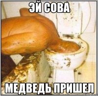 эй сова медведь пришел