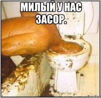 милый у нас засор. 