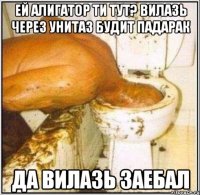 ЕЙ АЛИГАТОР ТИ ТУТ? ВИЛАЗЬ ЧЕРЕЗ УНИТАЗ БУДИТ ПАДАРАК ДА ВИЛАЗЬ заебал