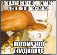 пойду проверю, в самом деле кило насрала? потому что гладиолус