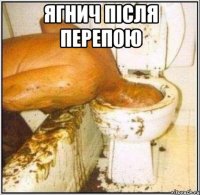 ягнич після перепою 