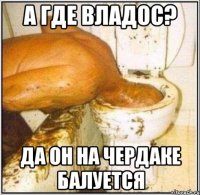 А где Владос? Да он на чердаке балуется
