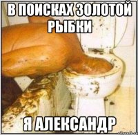 В ПОИСКАХ ЗОЛОТОЙ РЫБКИ Я АЛЕКСАНДР