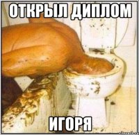 открыл диплом игоря