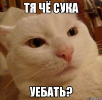 тя чё сука уебать?