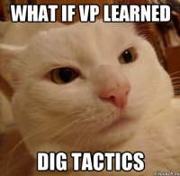 WHAT IF VP LEARNED DIG TACTICS