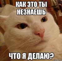 Как это ты незнаешь что я делаю?