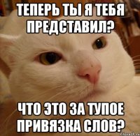 теперь ты я тебя представил? Что это за тупое привязка слов?