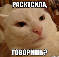 Раскусила, Говоришь?