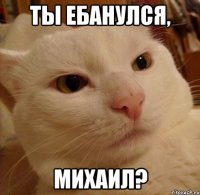 ТЫ ЕБАНУЛСЯ, МИХАИЛ?